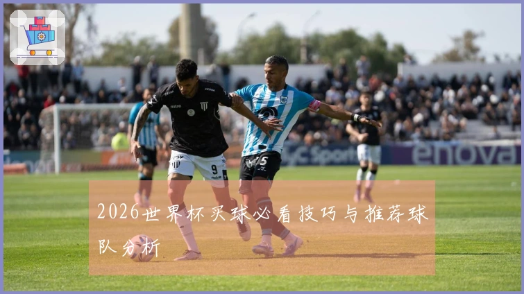 2026世界杯买球必看技巧与推荐球队分析