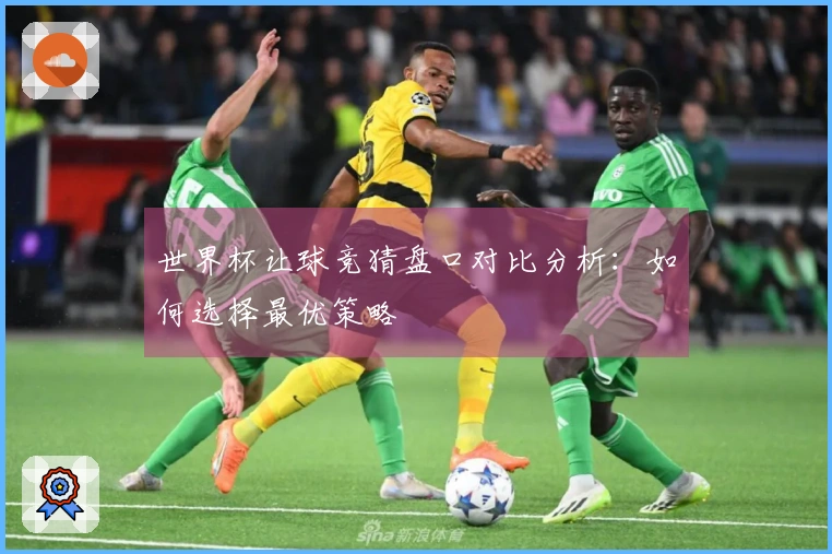 世界杯让球竞猜盘口对比分析：如何选择最优策略