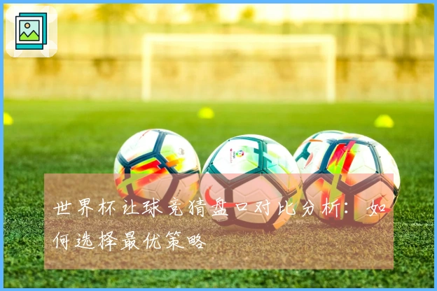 世界杯让球竞猜盘口对比分析：如何选择最优策略