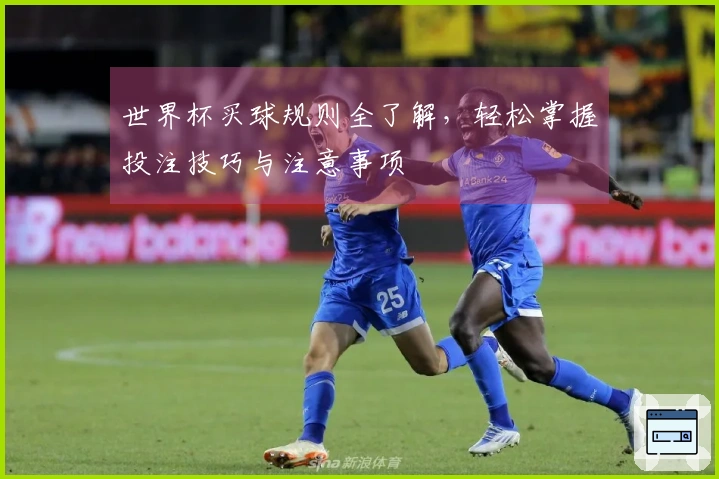 世界杯买球规则全了解,轻松掌握投注技巧与注意事项