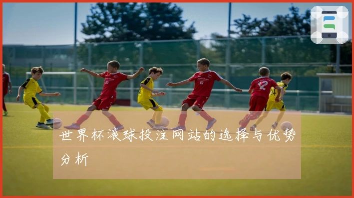 世界杯滚球投注网站的选择与优势分析