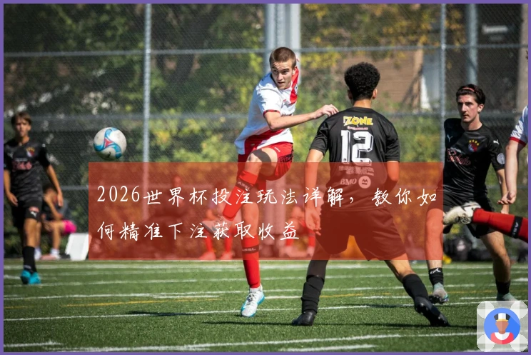 2026世界杯投注玩法详解，教你如何精准下注获取收益