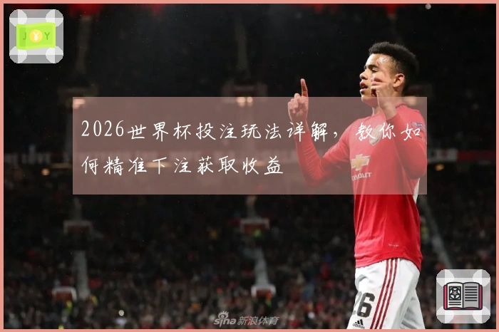 2026世界杯投注玩法详解，教你如何精准下注获取收益